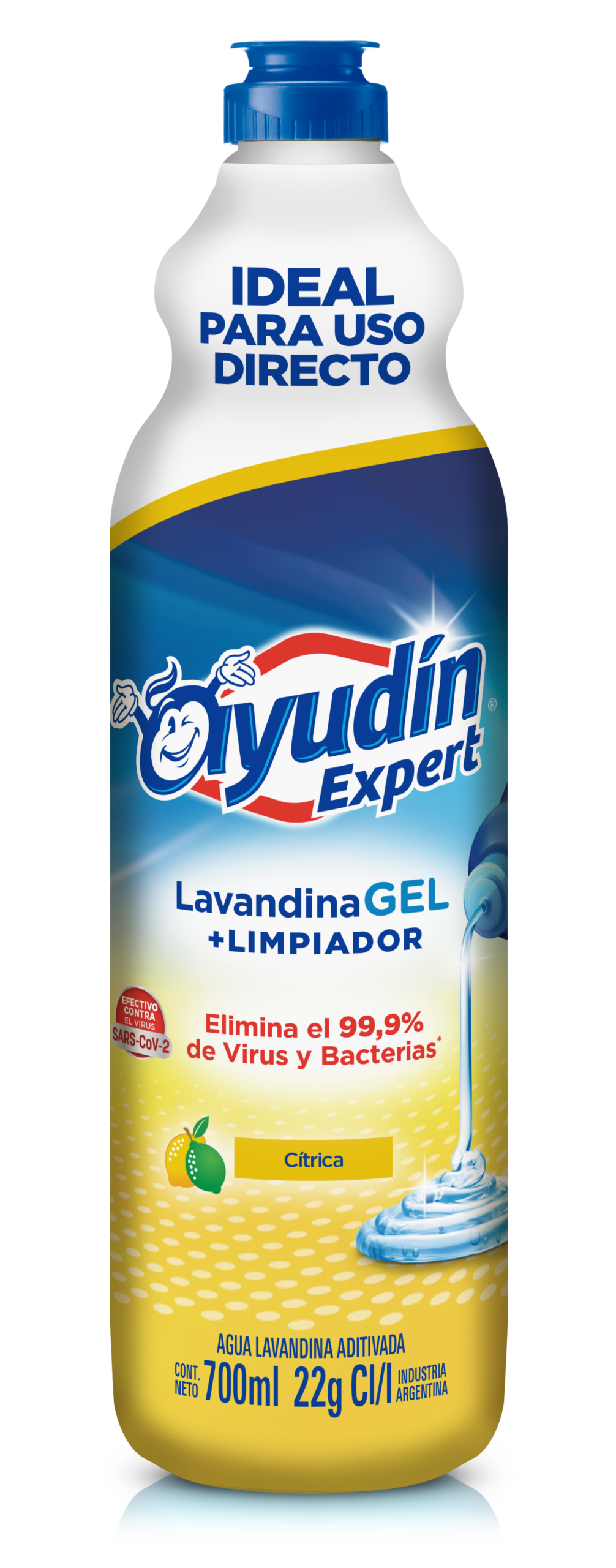 2024_10_10 3D Ayudín AR Lavandina Gel Expert Cítrica 700ml 60234